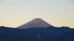富士山 笛吹川フルーツ公園 山梨市 山梨県 DSC03547