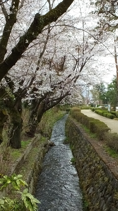 万力公園（万葉の森） 山梨市 山梨県