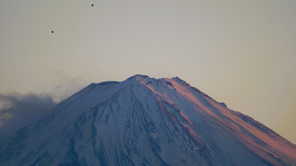 富士山 フルーツ公園 山梨市 山梨県 DSC08435