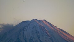 富士山 フルーツ公園 山梨市 山梨県 DSC08435
