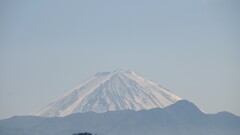 富士山 Pasta かざはな 塩山藤木 甲州市 山梨県 DSC04269
