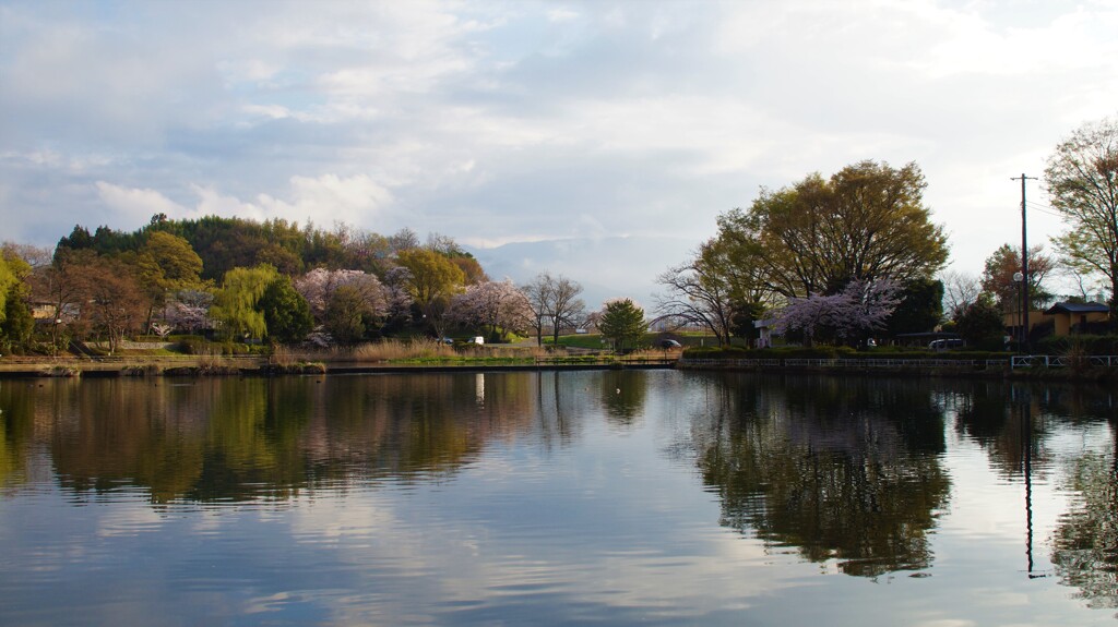 ちどり湖 万力公園 山梨市 山梨県 DSC02414