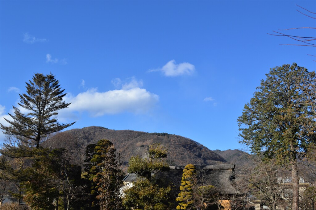 八田家書院  八田御朱印公園 石和 笛吹市 山梨県 DSC_0087