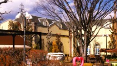 ハーブ庭園 夢日記 勝沼庭園 甲州市 山梨県 DSC01420