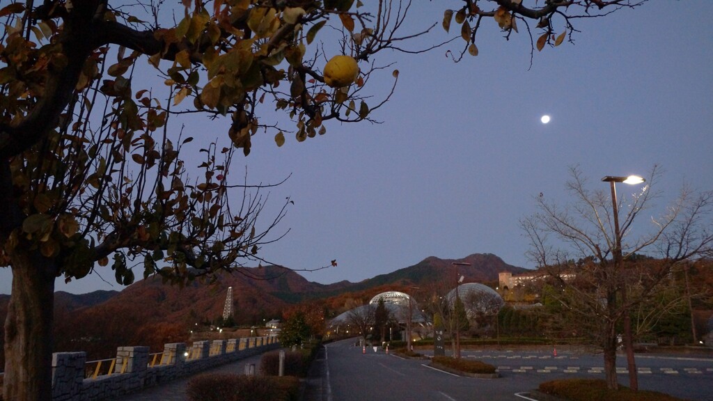 笛吹川フルーツ公園 山梨市 山梨県 DSC03043
