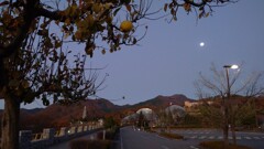 笛吹川フルーツ公園 山梨市 山梨県 DSC03043