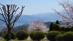 オーチャードヴィレッジ・フフ 秩父多摩甲斐国立公園 山梨市 山梨県