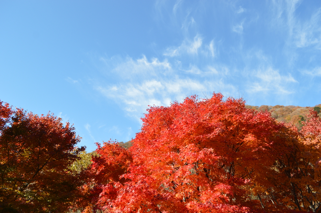 広瀬ダム　山梨県　山梨市にある富士川水系　笛吹川