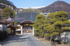 浄土宗 誓願寺 東光寺 甲府市 山梨県 IMGP8268