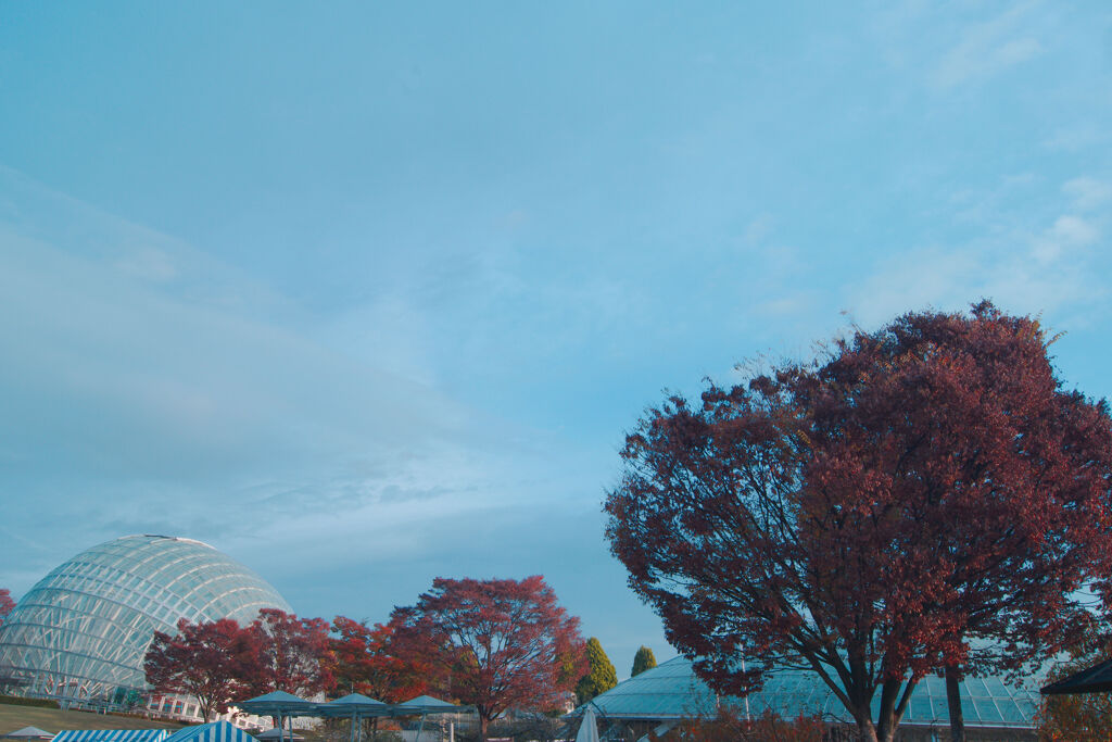 笛吹川フルーツ公園 山梨市 山梨県 DSC02722 -1A