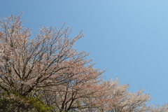 牧丘町窪平 秩父多摩甲斐国立公園 山梨市 山梨県