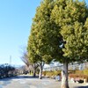 石和温泉駅 JR中央本線 石和町 笛吹市 山梨県 DSC_0066