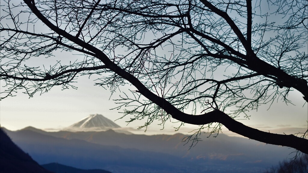 富士山 大沢バス停 山梨市  山梨県 DSC_0006