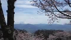山梨県笛吹川フルーツ公園 山梨市 山梨県