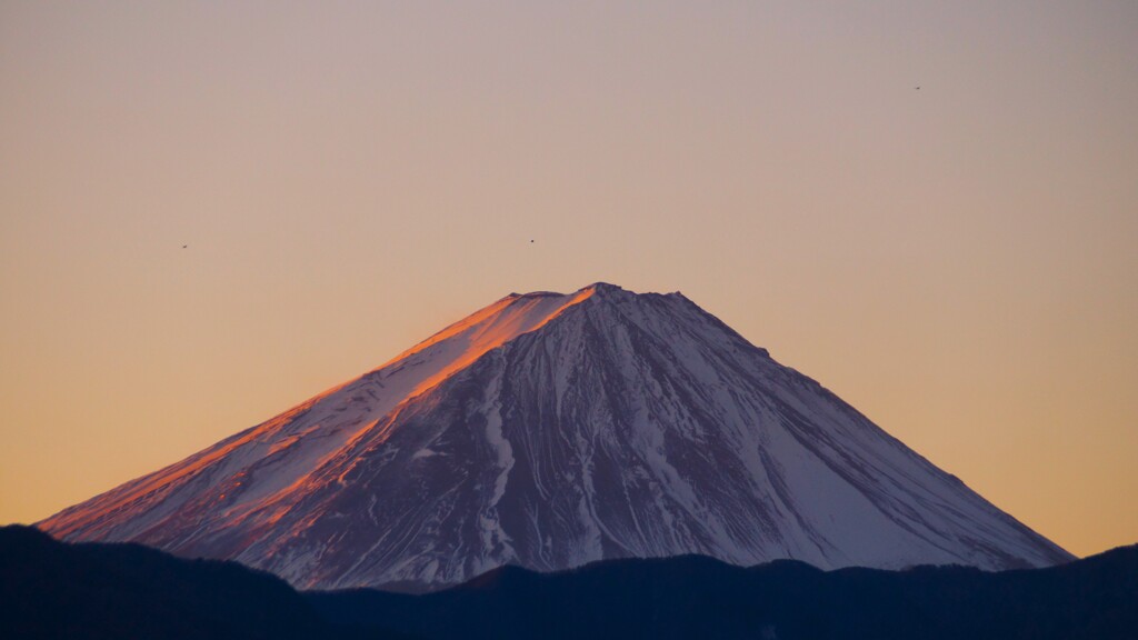 富士山 フルーツ公園 山梨市 山梨県 DSC06644