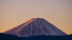 富士山 フルーツ公園 山梨市 山梨県 DSC06644