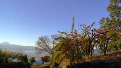 富士山 笛吹川フルーツ公園 山梨市 山梨県 DSC02825