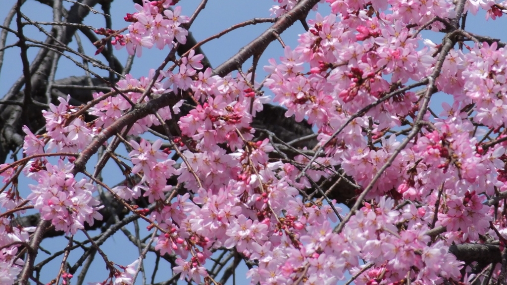 厚生病院 山梨市落合 山梨県