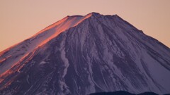 富士山 フルーツ公園 山梨市 山梨県 DSC08172