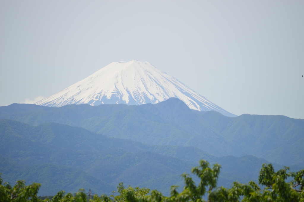 富士山　山梨市　フルーツライン