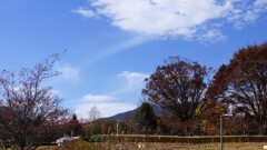 笛吹川フルーツ公園 山梨市 山梨県 DSC02951