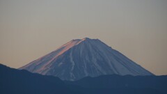 富士山 フルーツ公園 山梨市 山梨県 DSC06752