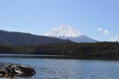 西湖 富士河口湖町 富士五湖 山梨県