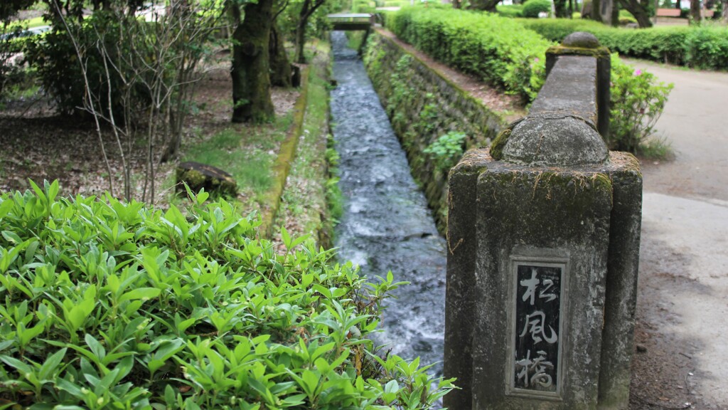木 万葉の森 山梨市 山梨県 IMG_4032