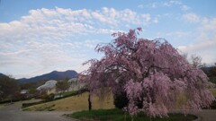 笛吹川フルーツ公園 ドーム 山梨市 山梨県 DSC05579