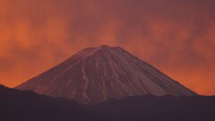 富士山 笛吹川フルーツ公園 山梨市 山梨県 DSC04624