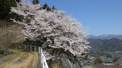 牧丘町 秩父多摩甲斐国立公園 山梨市 山梨県