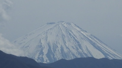 山梨県笛吹川フルーツ公園 山梨市 山梨県