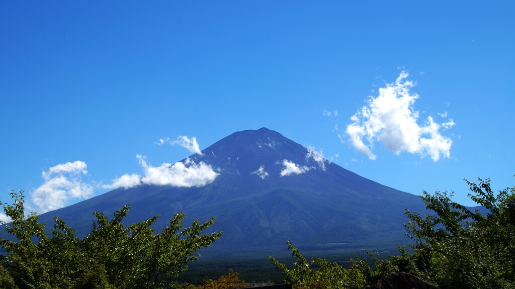 富士山 河口湖 ハーブ庭園夢日記 山梨県 DSC03753