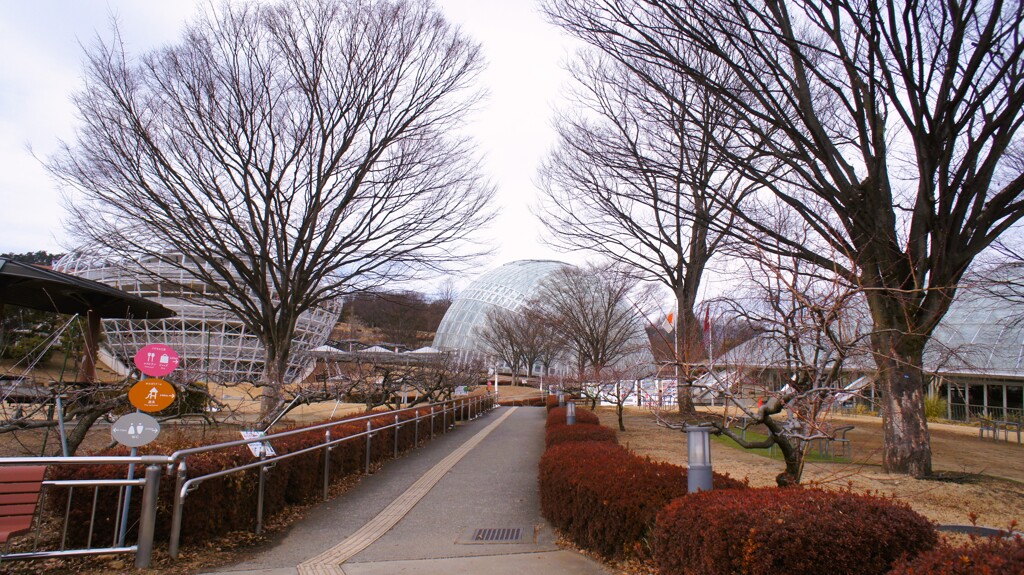 フルーツ公園 山梨市 山梨県 DSC06072