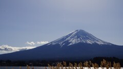 富士山 河口湖 大石公園 山梨県 DSC03707