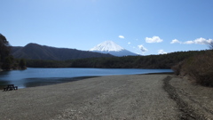 西湖 富士河口湖町 富士五湖 山梨県