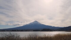富士山 河口湖 大石公園 山梨県 DSC06303