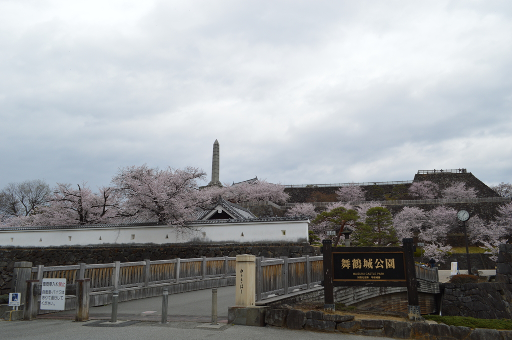 舞鶴城 櫻 甲府市 山梨県