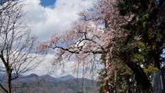 乾徳山 八坂大神社 甲州市藤木 山梨県 DSC02499