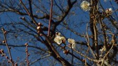 山梨市立牧丘病院 山梨市 山梨県 DSC_0075 山梨市立牧丘病院 山梨市 山梨県 DSC_0075