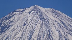 富士山 白鳥山 山梨百名山 低山568ｍ 静岡 DSCF1236
