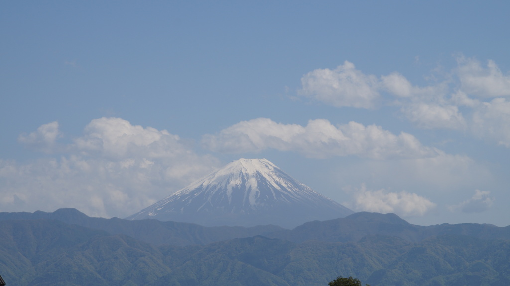 富士山 双葉水辺公園 山梨県甲斐市 DSC03040