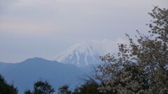 富士山 笛吹川フルーツ公園 山梨市 山梨県 DSC05553