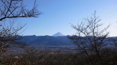 富士山 フルーツ公園 山梨市 山梨県 DSCF1060