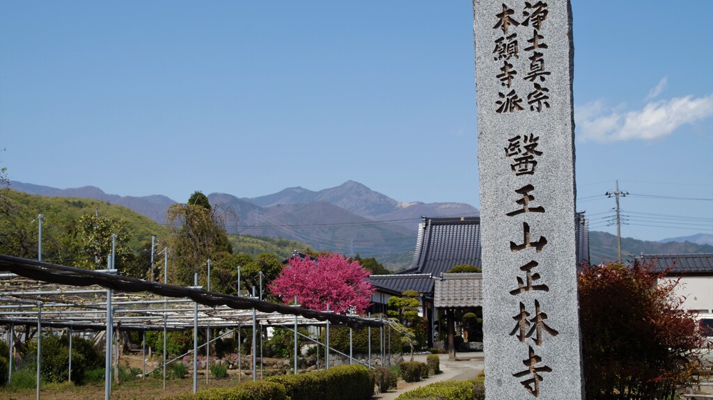 正林寺 甲州市塩山三日市場 山梨県 DSC02973