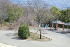 山梨県笛吹川フルーツ公園 山梨市 山梨県