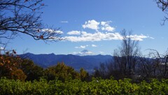 富士山 笛吹川フルーツ公園 山梨市 山梨県 DSC02837
