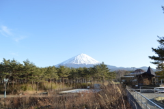 道の駅 なるさわ 鳴沢村 富士五湖 山梨県