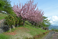 塩山ふれあいの森総合公園 甲州市 山梨県