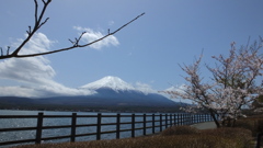 長池親水公園 山中湖 富士山 富士五湖 山梨県